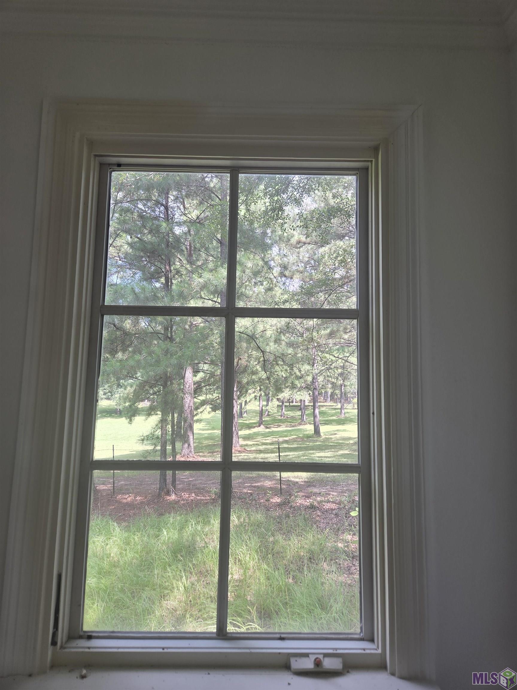 Homes for sale in Woodville, MS | 488 Salisbury Dr, Woodville, MS 39669 | MLS# BR2025014799