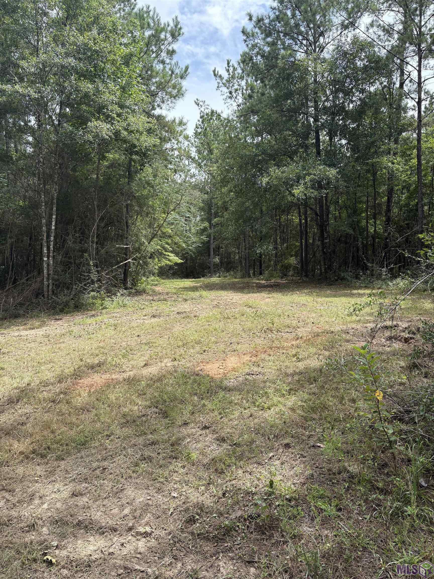 Homes for sale in Bush, LA | Tract A Isabel Swamp Road, Bush, LA 70431 | MLS# BR2025014923