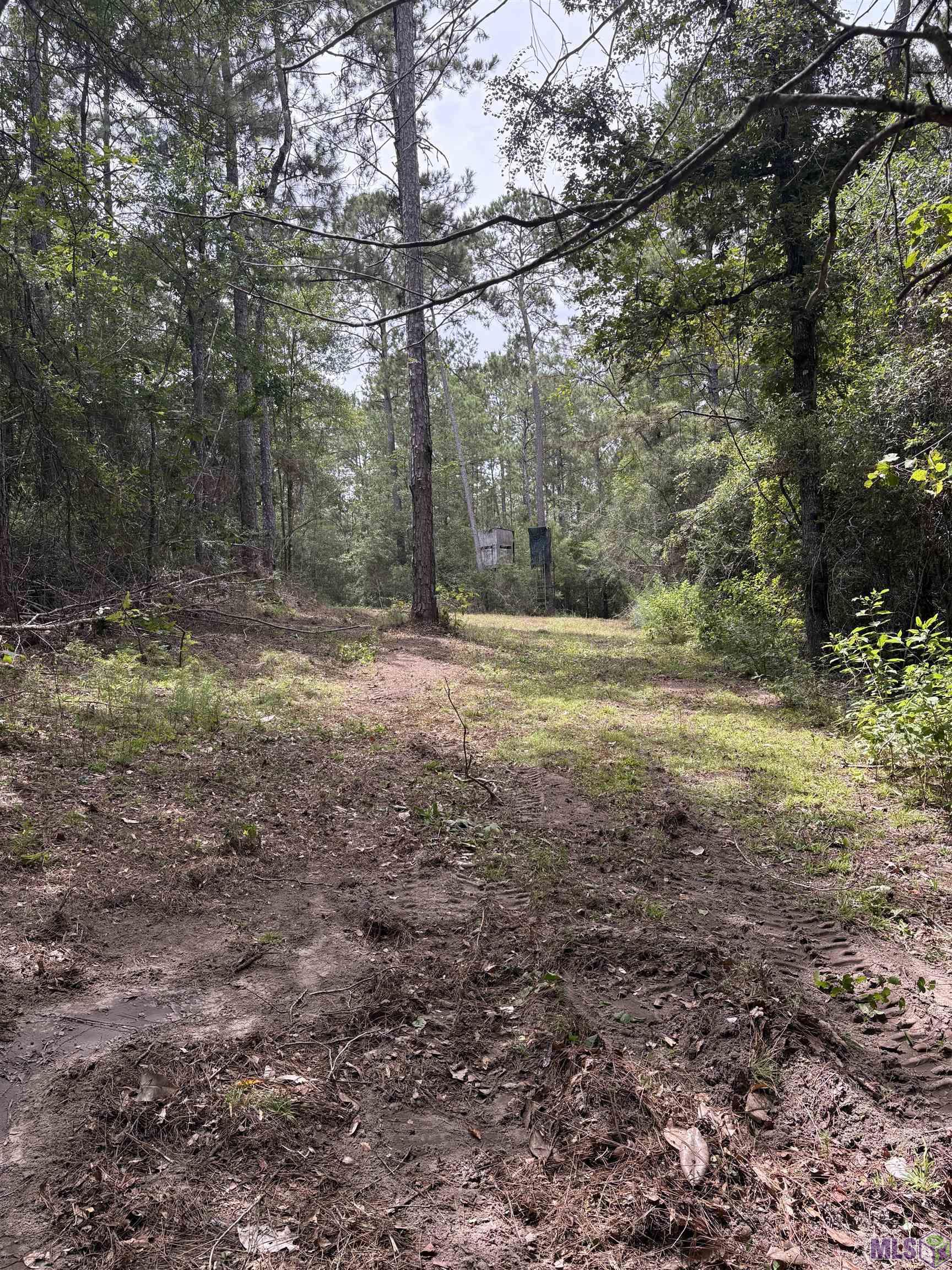 Homes for sale in Bush, LA | Tract A Isabel Swamp Road, Bush, LA 70431 | MLS# BR2025014923