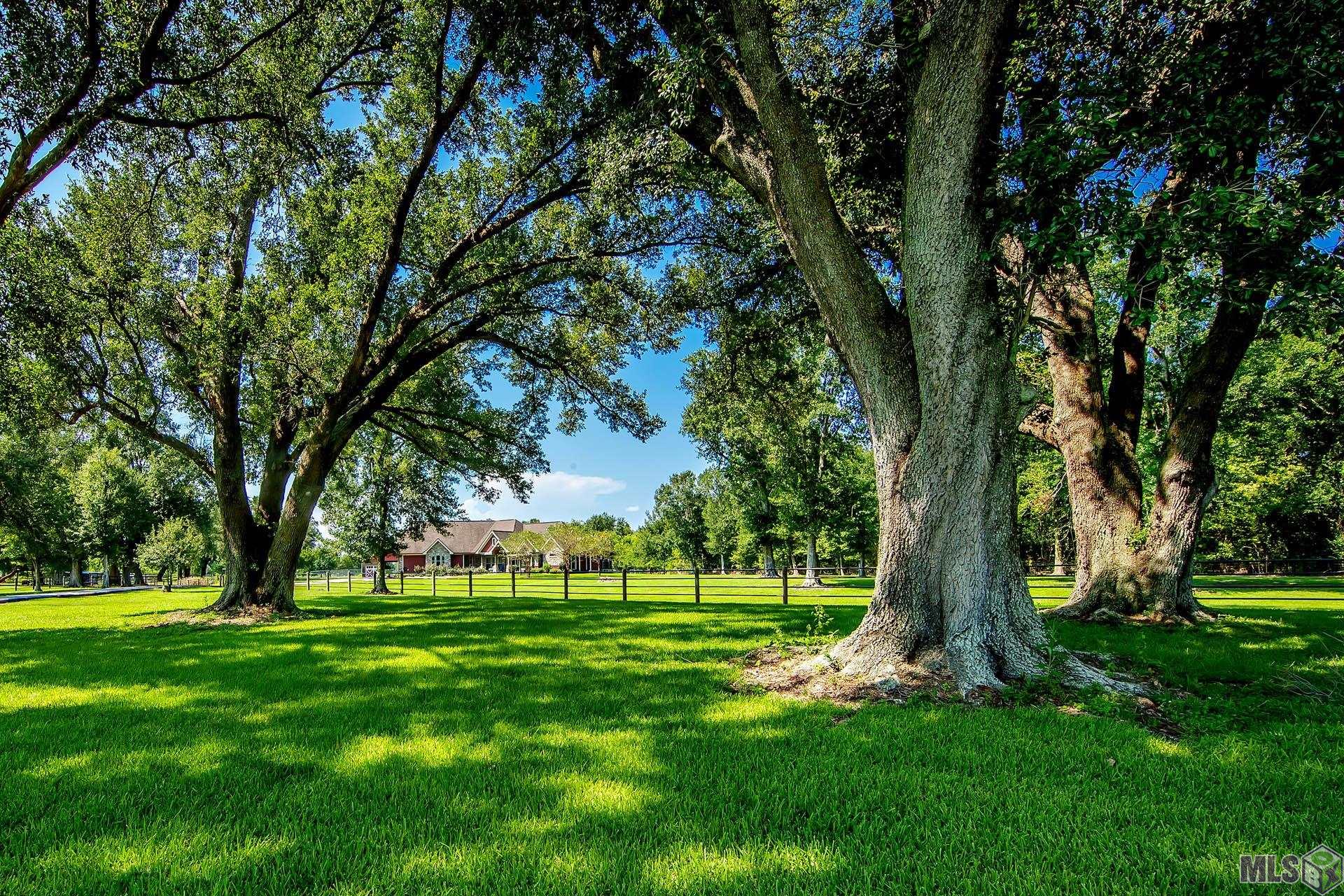 Homes for sale in Larose, LA | 13134 La Hwy 3235, Larose, LA 70373 | MLS# BY2025015652