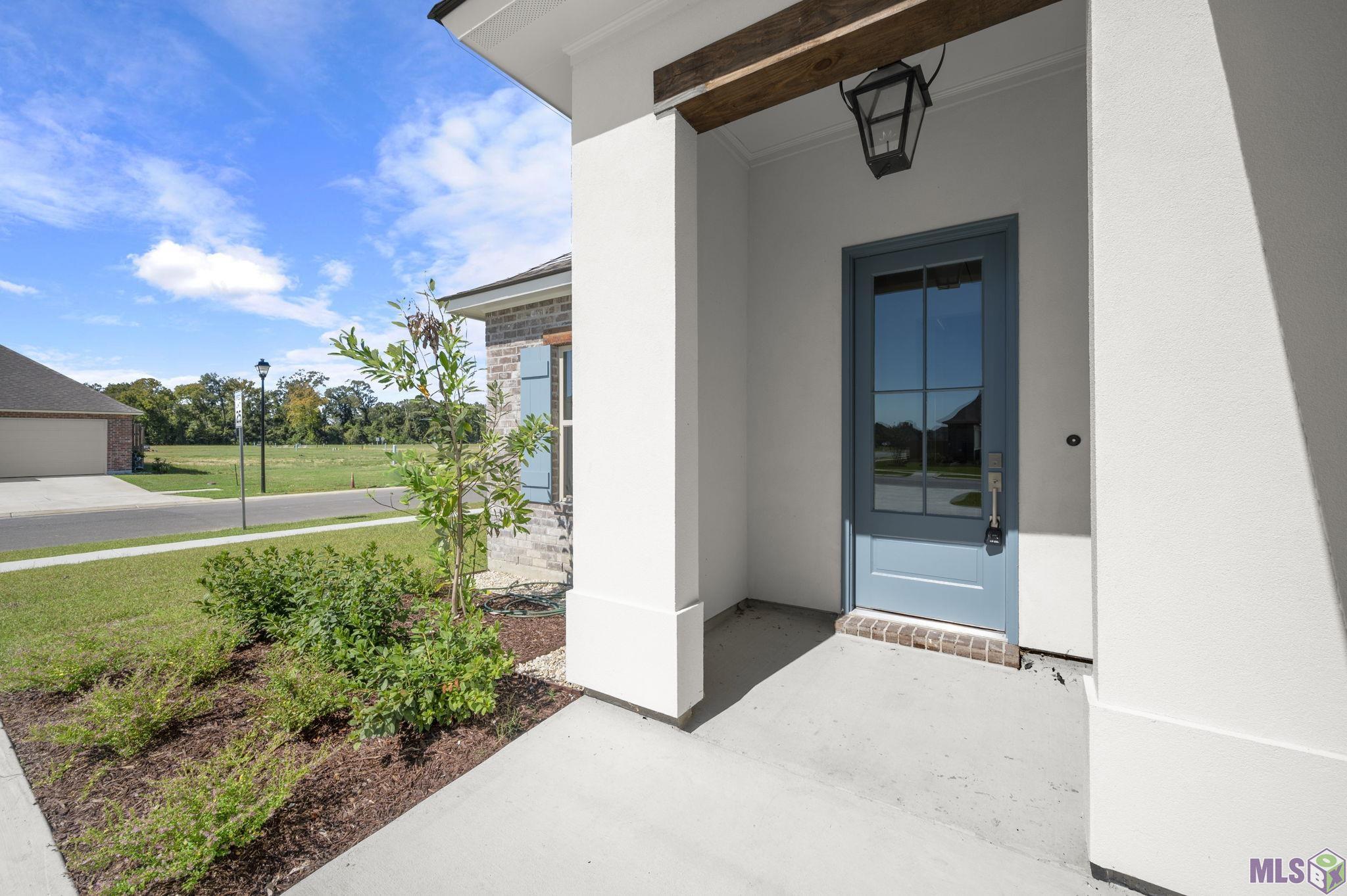 Homes for sale in Prairieville, LA | 37260 Dulcito Ave, Prairieville, LA 70769 | MLS# BR2025016701