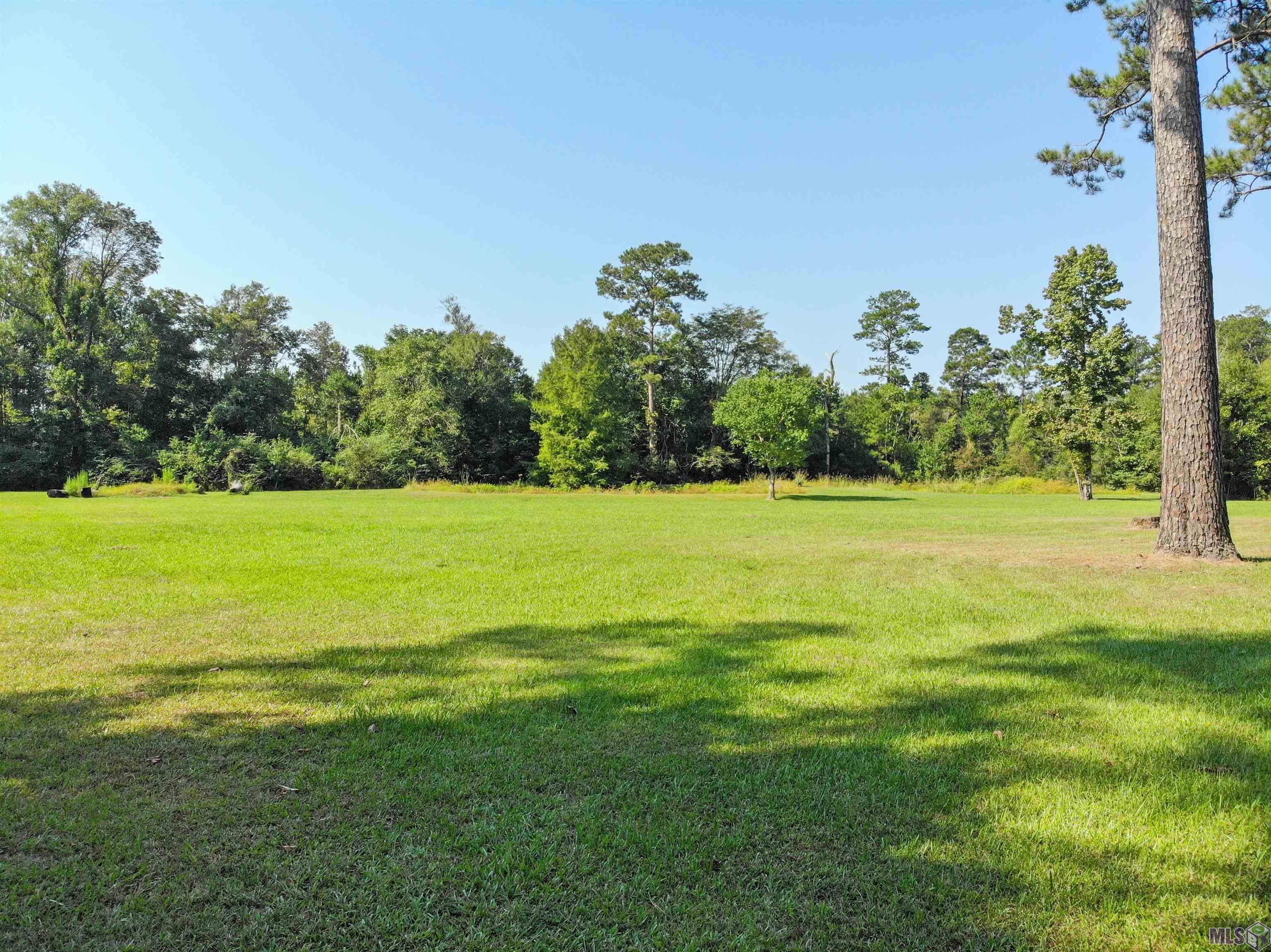 Homes for sale in Holden, LA | 24744 La Hwy 42, Holden, LA 70744 | MLS# BR2025017133