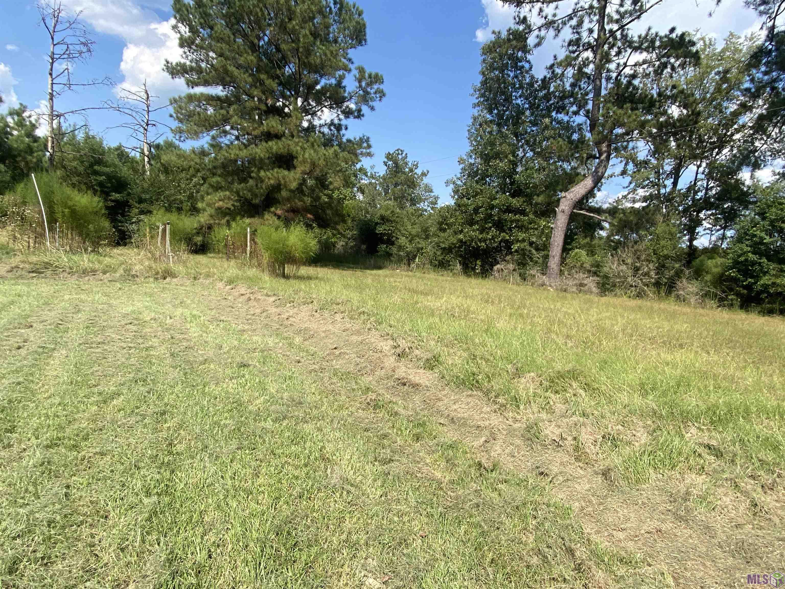 Homes for sale in Clinton, LA | 1532 Genola Rd, Clinton, LA 70722 | MLS# BR2025017193