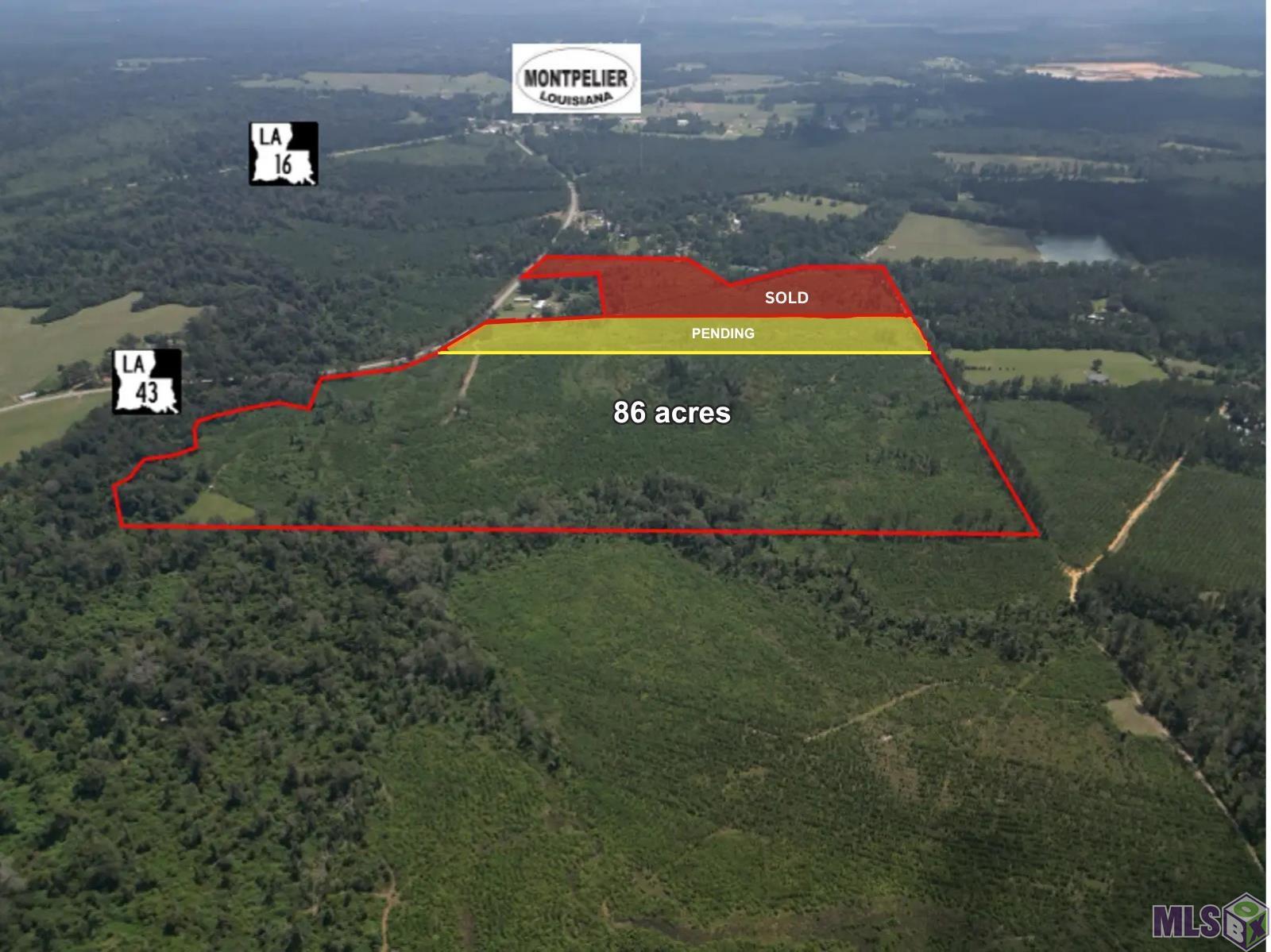 Homes for sale in Montpelier, LA | 6059 La 43 Hwy, Montpelier, LA 70422 | MLS# BR2025018680