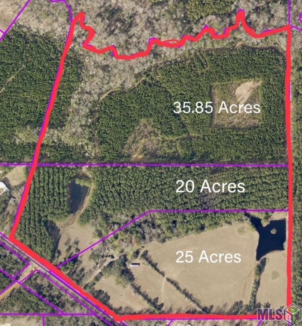 Homes for sale in Clinton, LA | 4343 La Hwy 63, Clinton, LA 70722 | MLS# BR2025018999