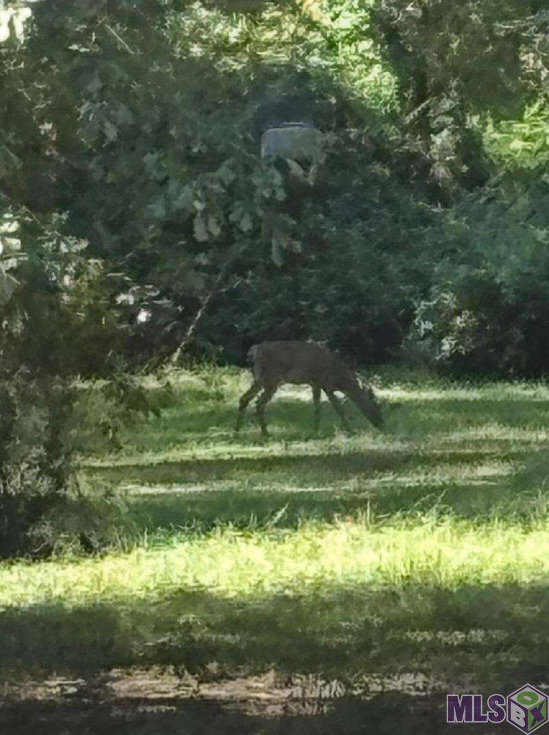 Homes for sale in French Settlement, LA | 15645 La Hwy 16, French Settlement, LA 70733 | MLS# BR2025019404