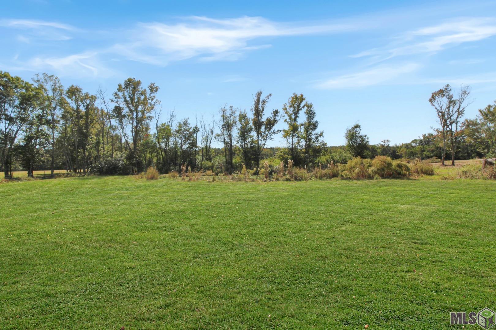 Homes for sale in Zachary, LA | 10176 Greenwell Springs Port Hudson Rd, Zachary, LA 70791 | MLS# BR2025019708