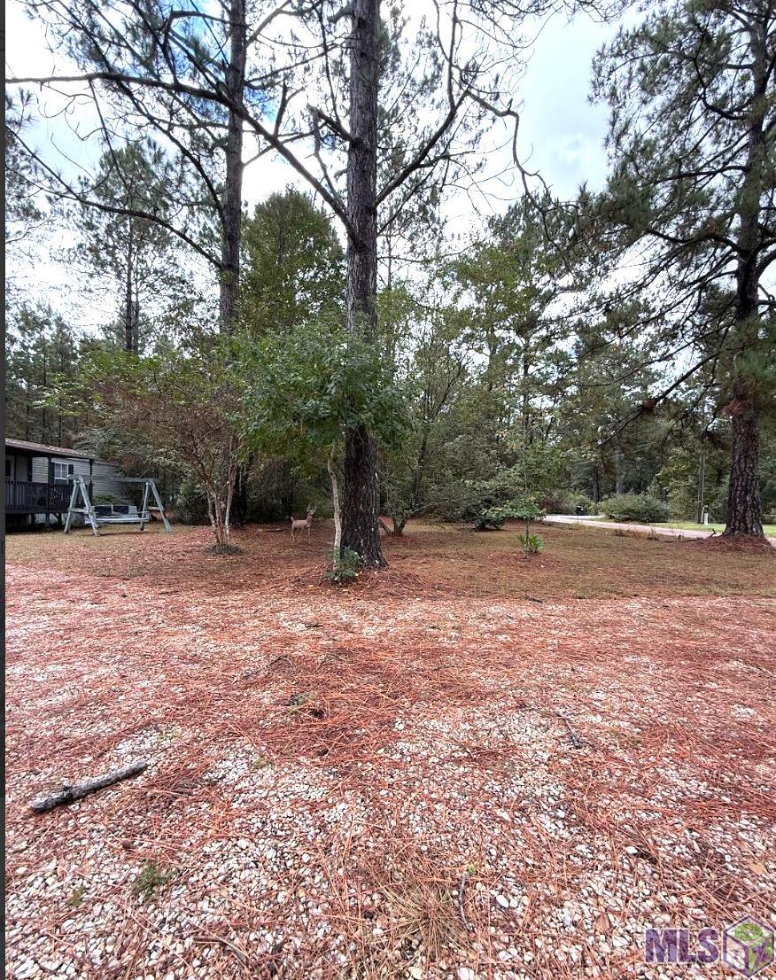 Homes for sale in Abita Springs, LA | 70354 Ravine Street, Abita Springs, LA 70420 | MLS# BR2025019835