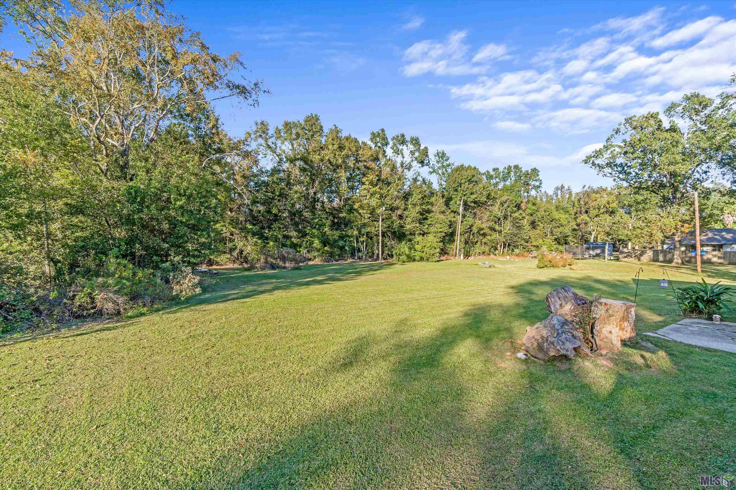 Homes for sale in Gonzales, LA | 40134 Woodland Ave, Gonzales, LA 70737 | MLS# BR2025020857