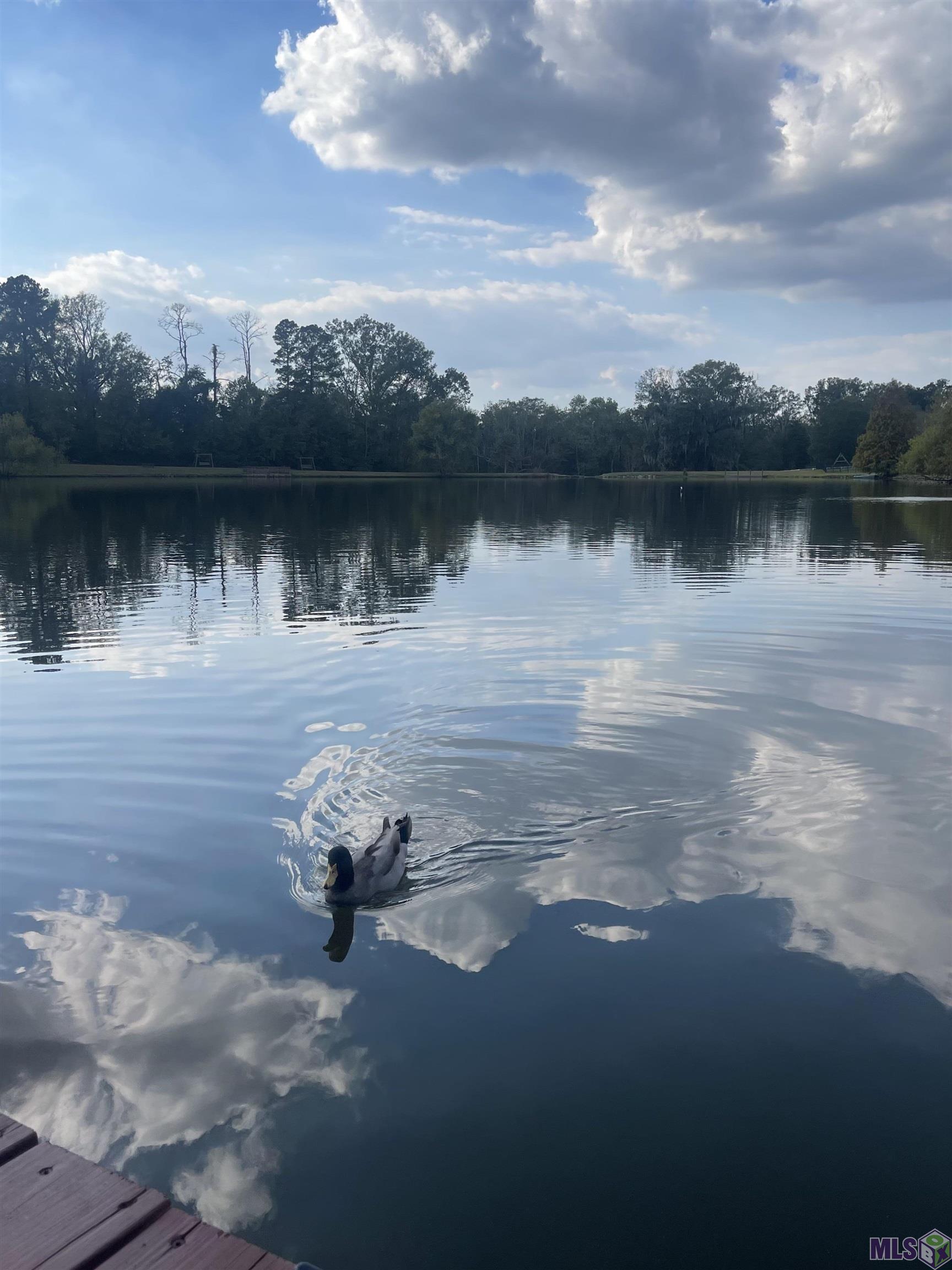 Homes for sale in Prairieville, LA | 18167 Kenner Dr, Prairieville, LA 70769 | MLS# BR2025021716