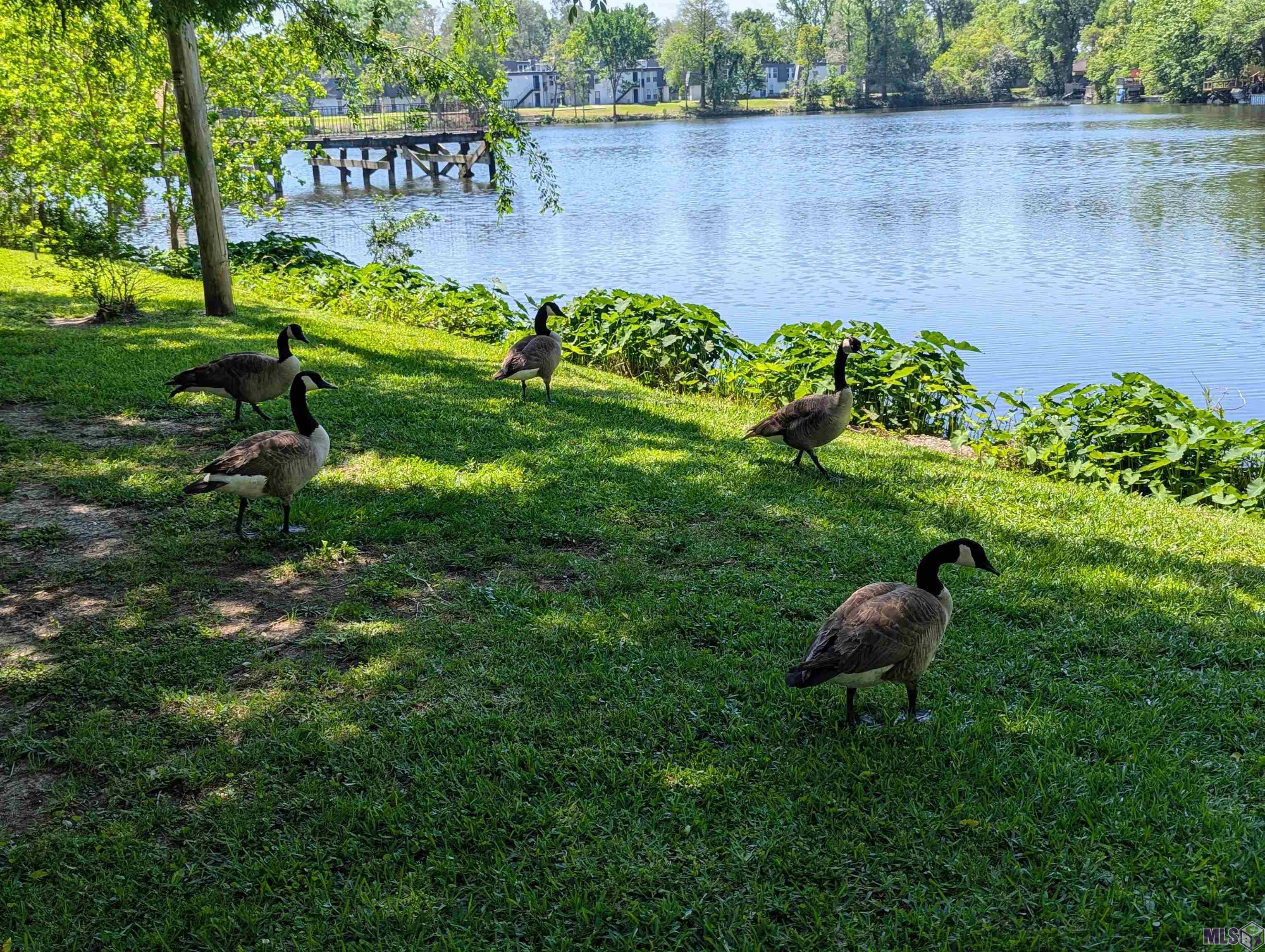 Homes for sale in Baton Rouge, LA | 10280-10286 W Winston Ave, Baton Rouge, LA 70809 | MLS# BR2025021759