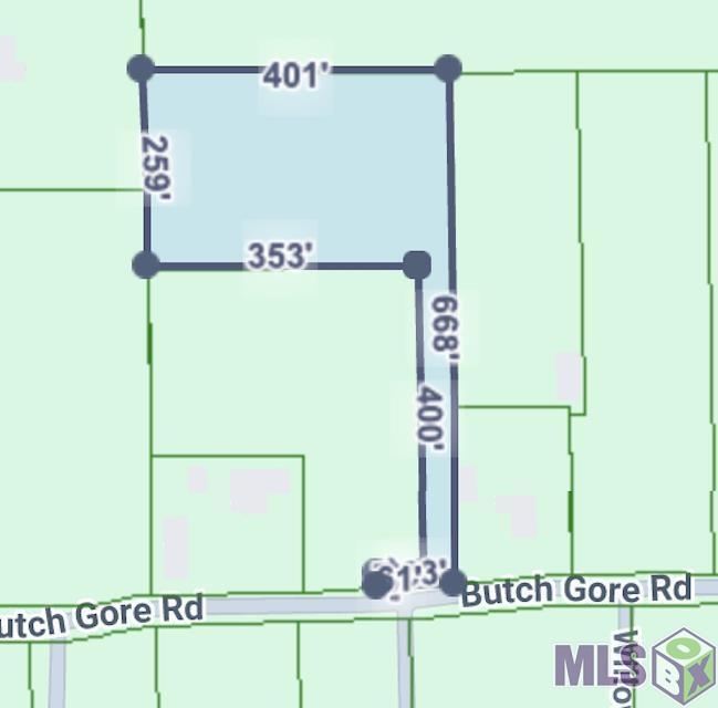 Homes for sale in St. Amant, LA | 45162 Butch Gore Rd, St. Amant, LA 70769 | MLS# BR2025021907