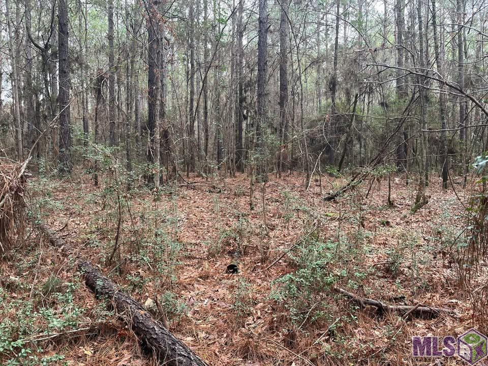 Homes for sale in Converse, LA | 0 Hwy #481, Converse, LA 71419 | MLS# BR2025021974