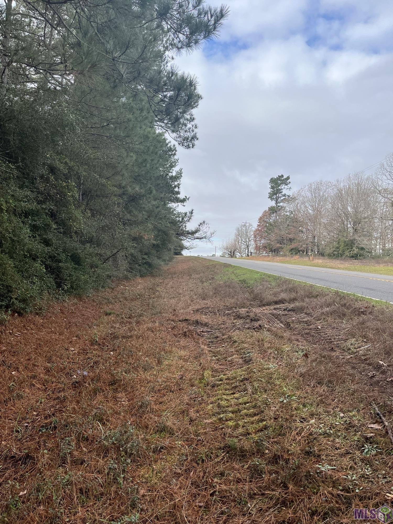 Homes for sale in Converse, LA | 0 Hwy #481, Converse, LA 71419 | MLS# BR2025021974