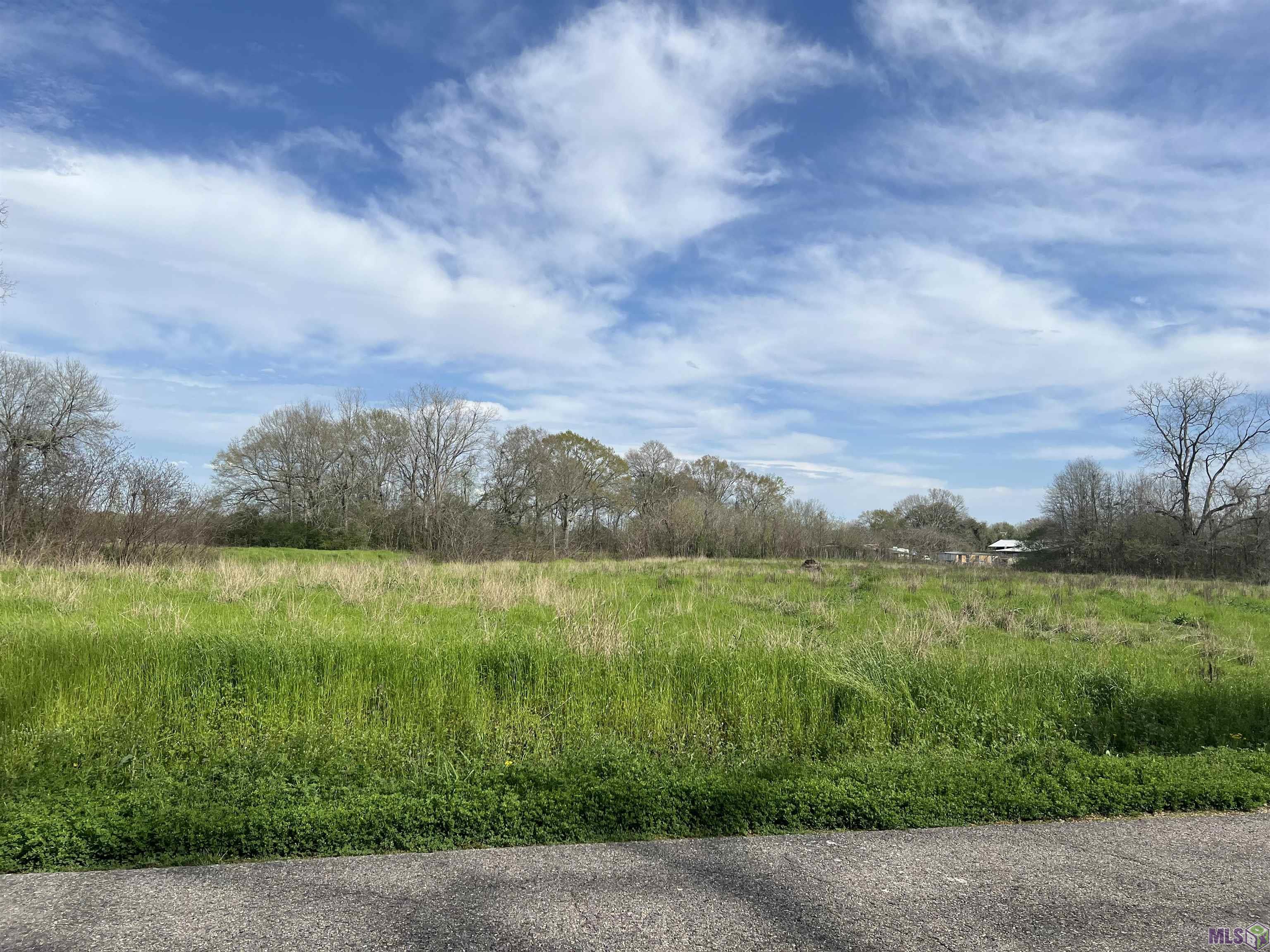 Homes for sale in Port Allen, LA | 5232, 5252 Elm Grove Rd, Port Allen, LA 70767 | MLS# BR2024004057