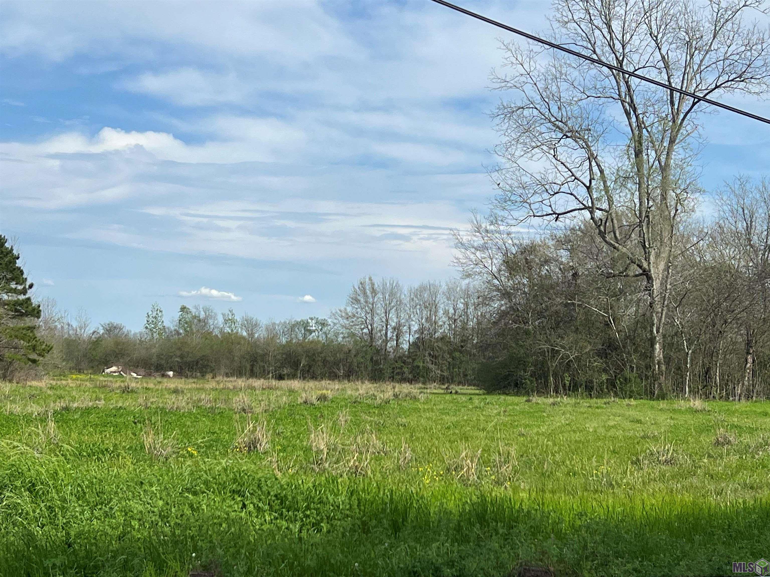 Homes for sale in Port Allen, LA | 5232, 5252 Elm Grove Rd, Port Allen, LA 70767 | MLS# BR2024004057