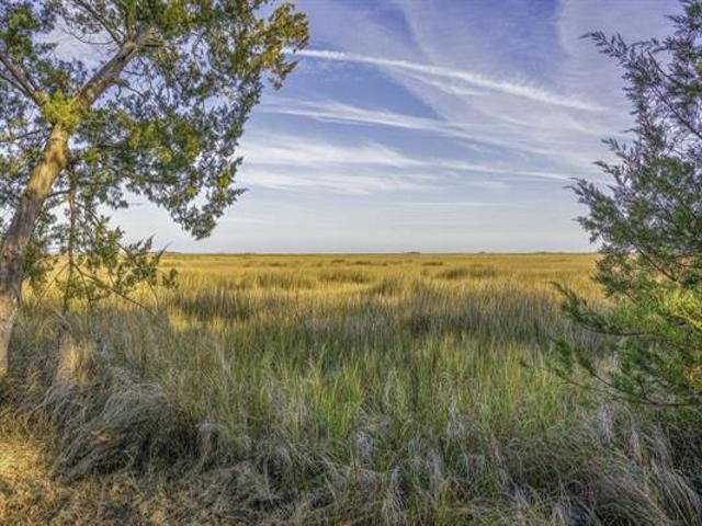 Lot 5 Blk C Bal-Mar, Hird Island Georgia