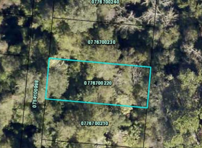 INVESTMENT opportunity alert!  Own land in the 11th fastest growing county in America.  Don't wait!  No roads, water, sewer, or electric. No Survey on file.