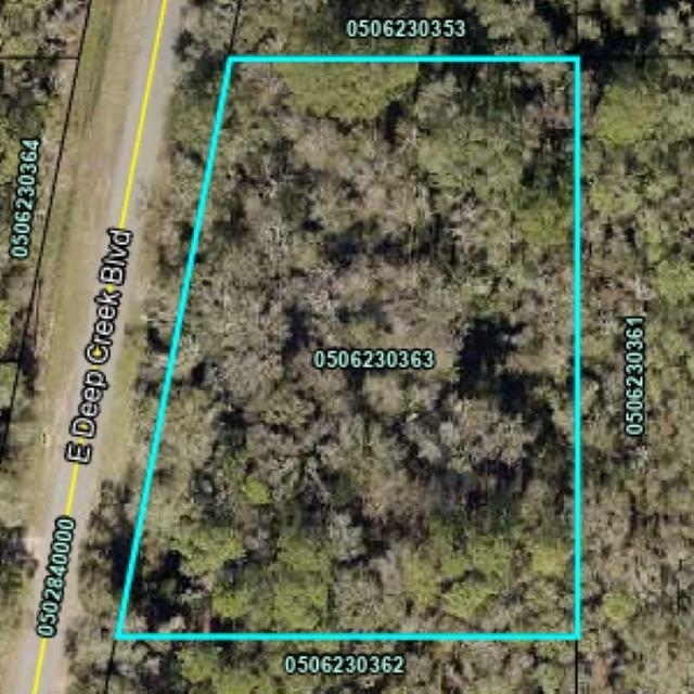 Wooded 1 1/2 acre lot on paved road in Flagler Estates available for your new  home.   Many new custom homes in the area.