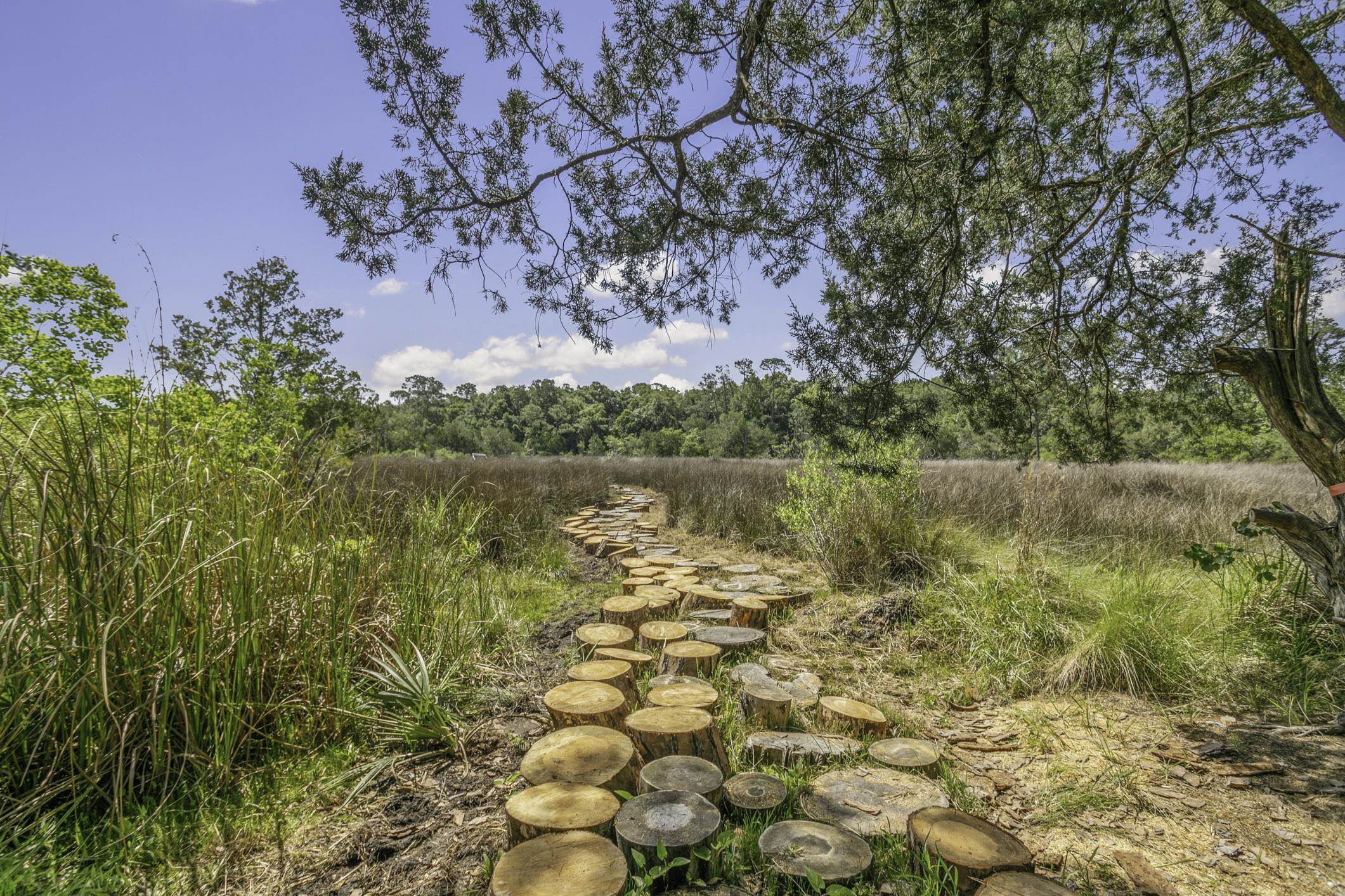 3639 Crazy Horse Trail