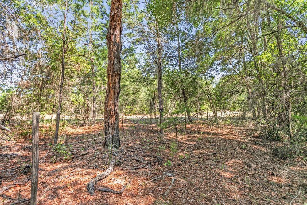 1379 State Rd 100