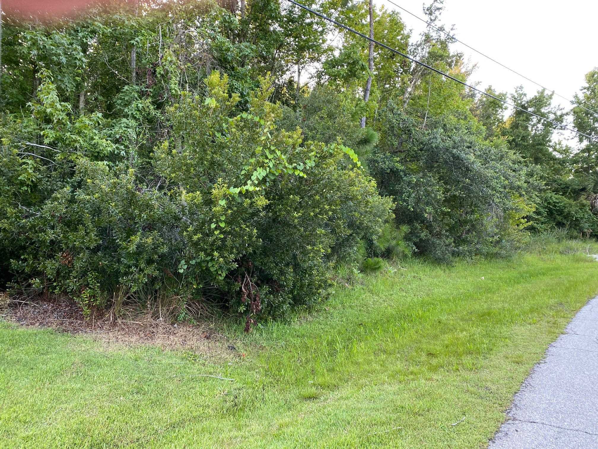 This lot is an oversized treed lot.  This lot is currently bound with 15 Londonderry Dr and will be separated at closing. The property is located in the Matanzas Woods Community with Easy access to  U S 1 and I-95 (Far enough away to be quiet) A quick commute to St Augustine.  Taxes are included with 15 Londonderry Dr so I done know $ for just this lot. The Owner is a Broker Sales Assoc.