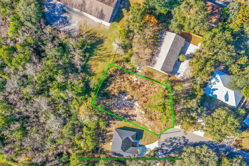 Tucked away at the end of a quiet dead-end street, this rare .34-acre cleared lot on Bluff Lane offers privacy, peace, and stunning natural views overlooking Moultrie Creek. With over 95% of the property located in Flood Zone X, this high and dry homesite provides an exceptional opportunity to build while enjoying the beauty of waterfront scenery from atop the bluff. The elevated setting captures serene creek views and coastal breezes, creating a truly special backdrop for a custom home. The property is zoned for W.D. Hartley Elementary School, Gamble Rogers Middle School, and Pedro Menendez High School. Located in an established area close to beaches, dining, shopping, and historic downtown St. Augustine, this property combines seclusion with convenience. A unique opportunity to own a picturesque bluff-side lot in a sought-after location.