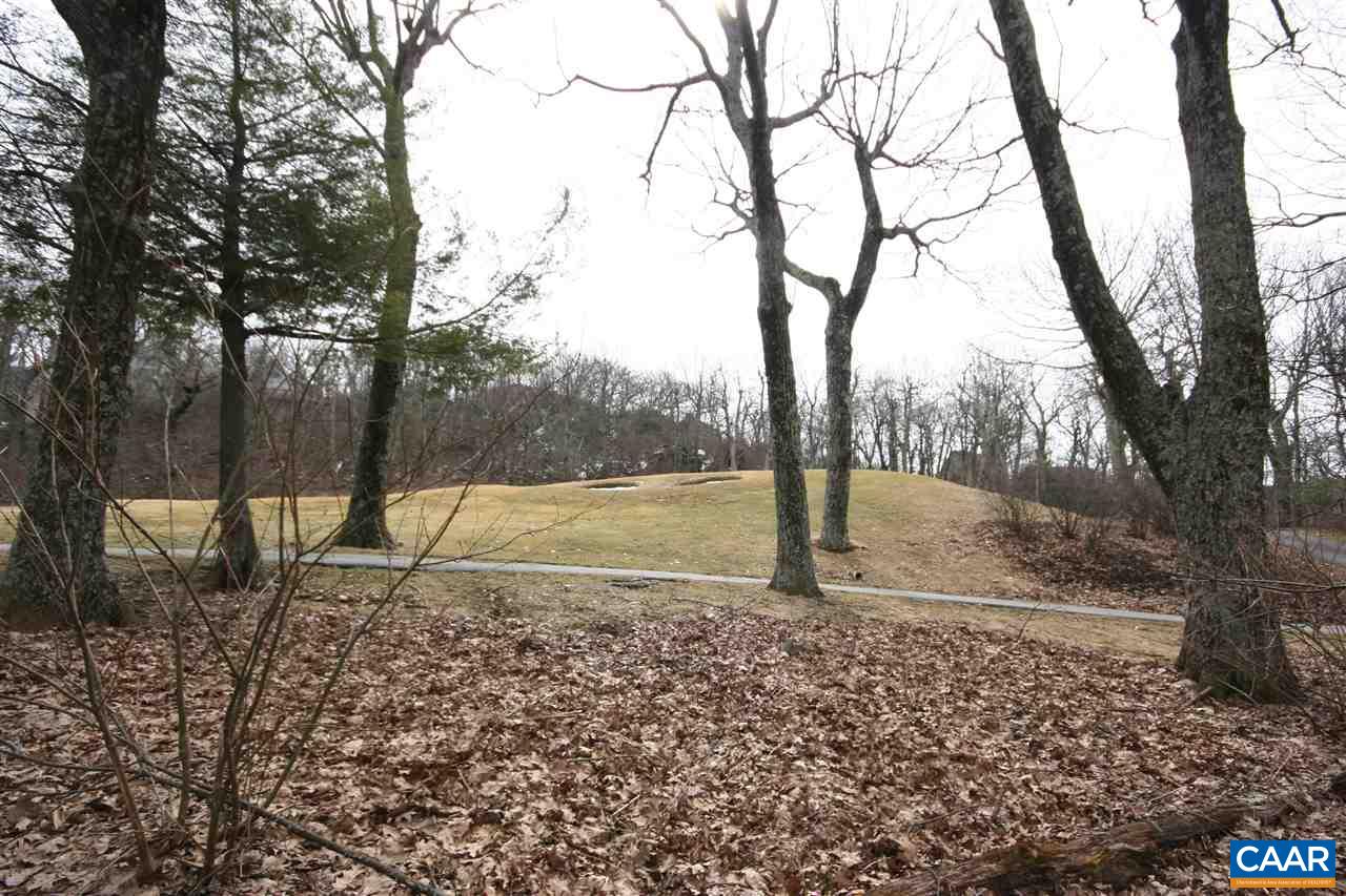 355 DEVILS KNOB LOOP, WINTERGREEN, VA 22958