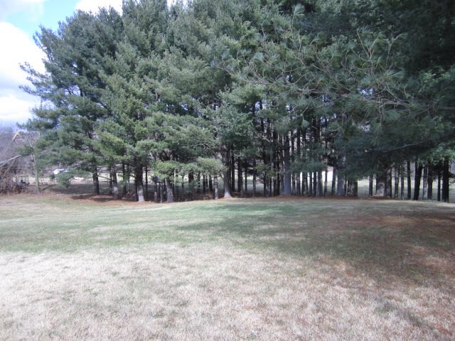 48 BERRY FARM RD