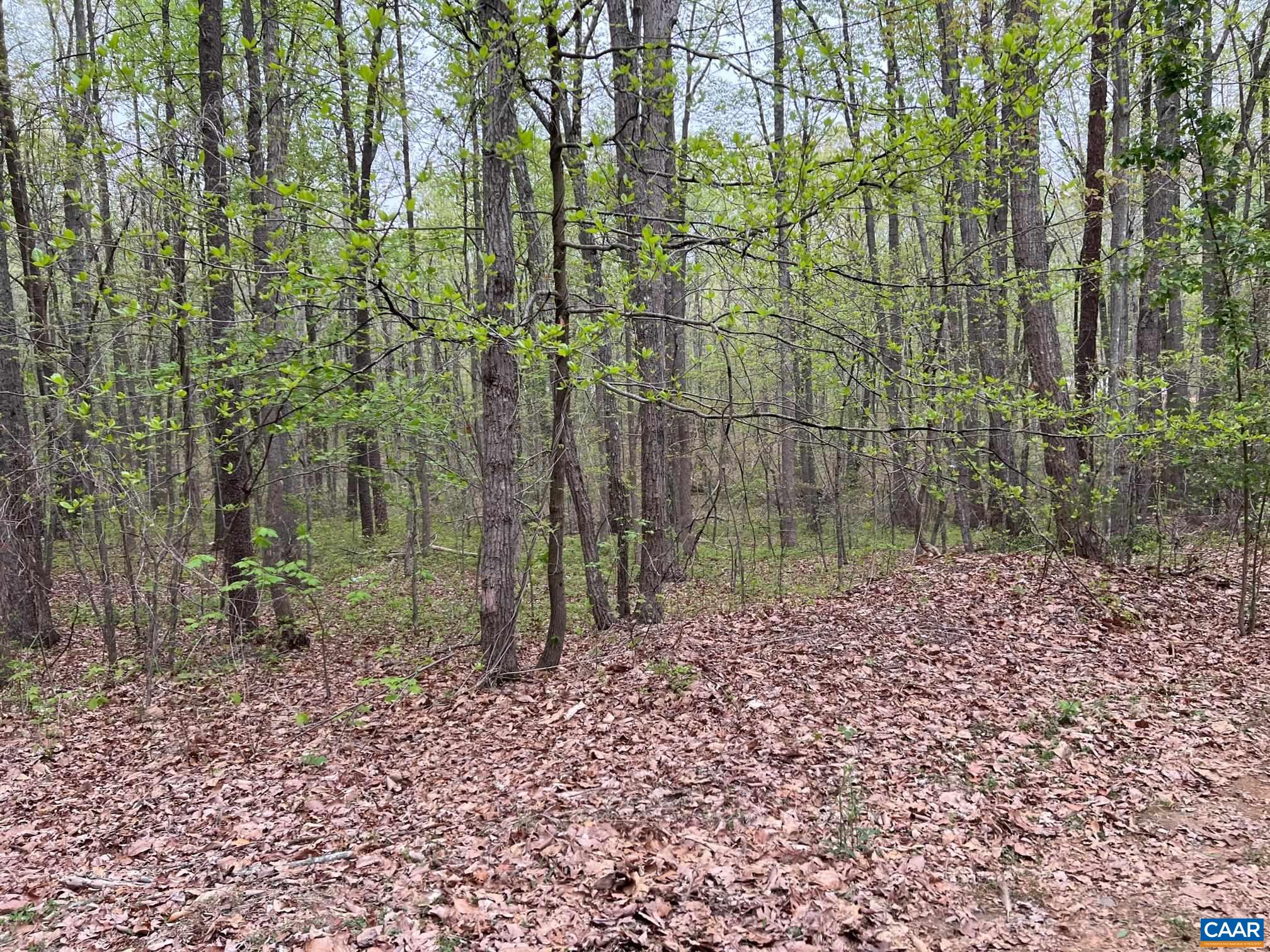 Priced to sell! Lovely wooded home site between Gordonsville & Trevilians.  Prime location with short drive to Lake Anna, Louisa, Gordonsville or Charlottesville.  Escape to the woods and build your dream home!  Enjoy low Louisa County real estate taxes! Lot is on the left.  Do no go to house at 132 Briar Patch Lane even though Louisa County GIS has this address for the lot.
