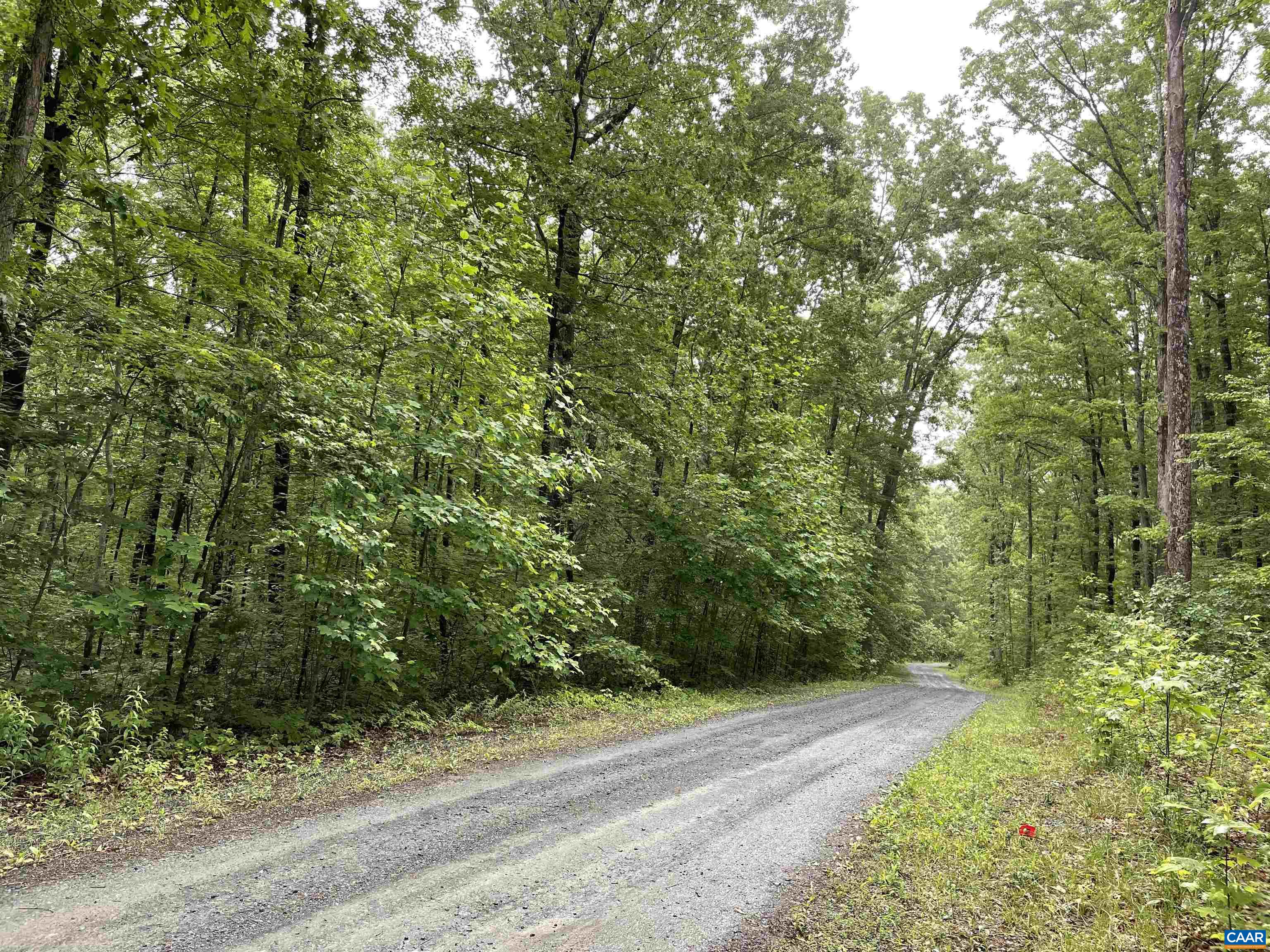 Land In Louisa Va