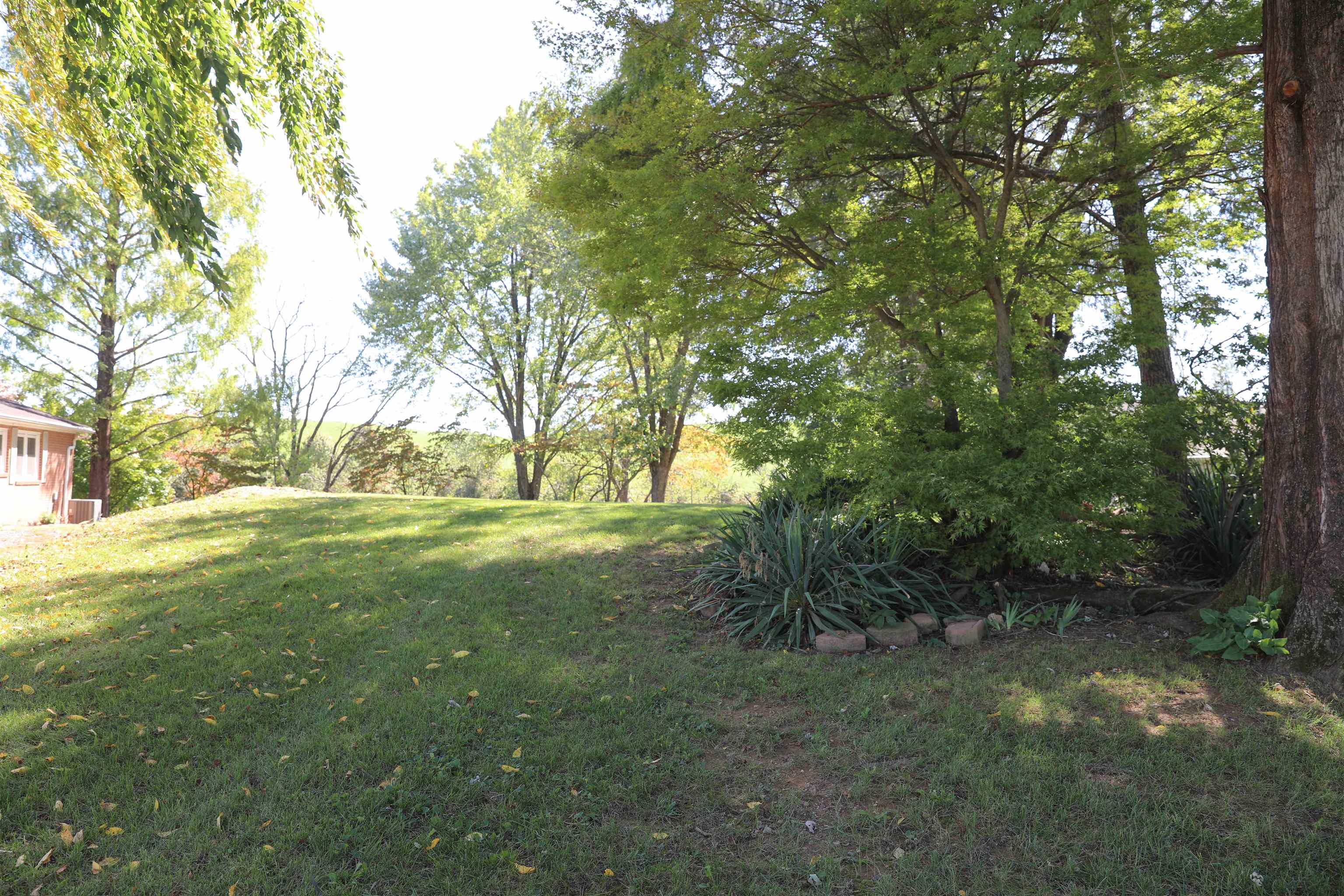20 Buckland Dr