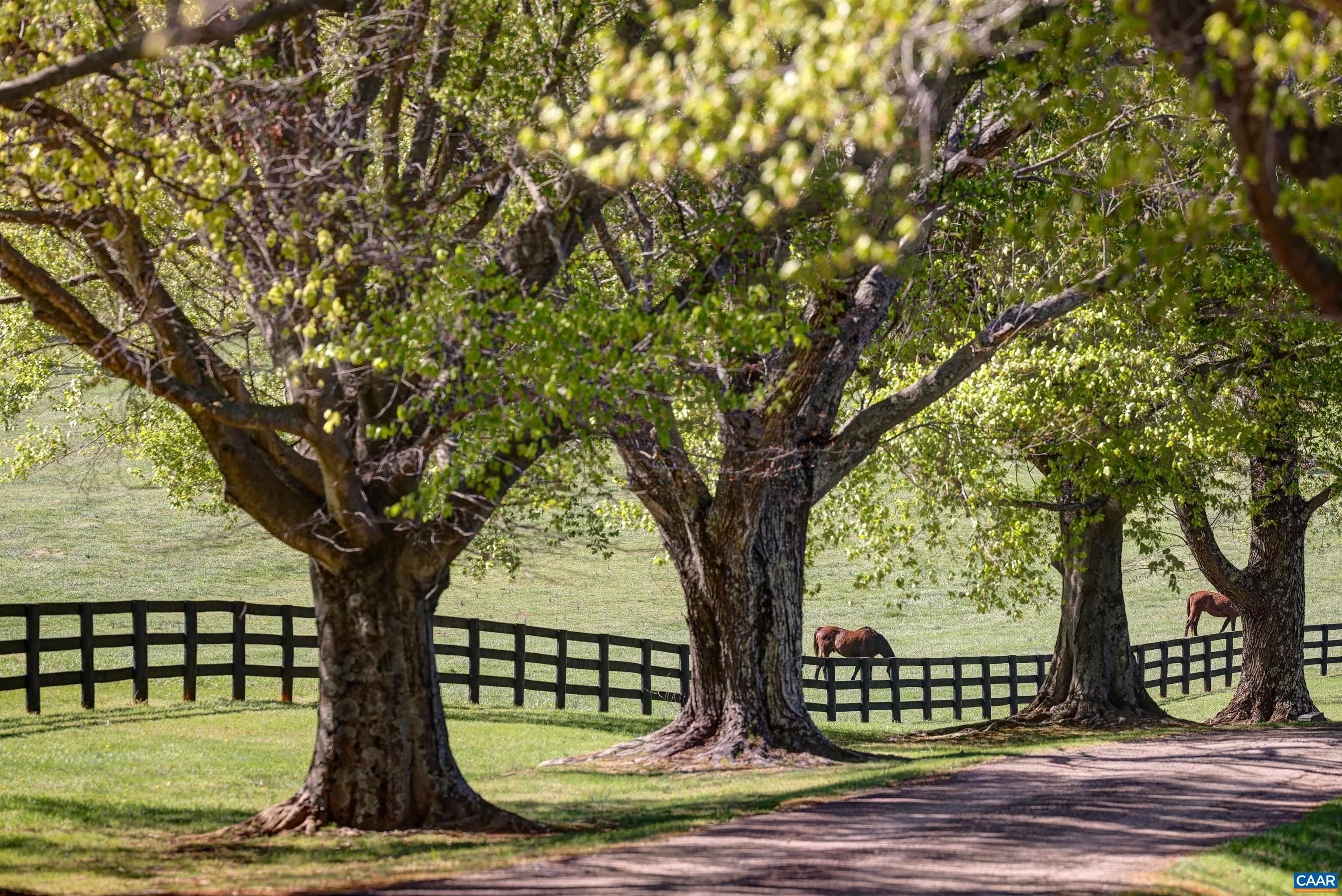 2262 Old Keswick Farm