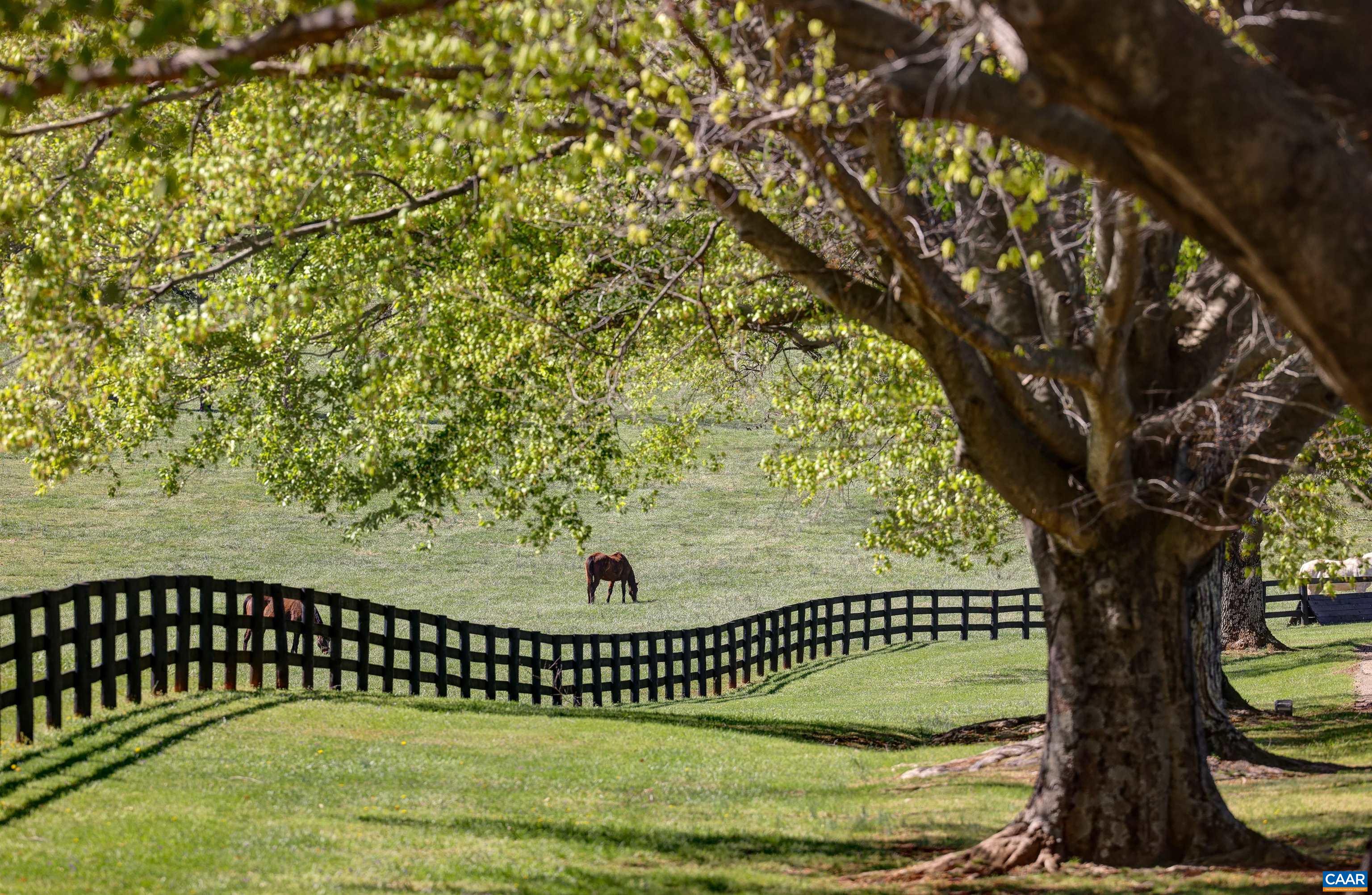 2262 Old Keswick Farm