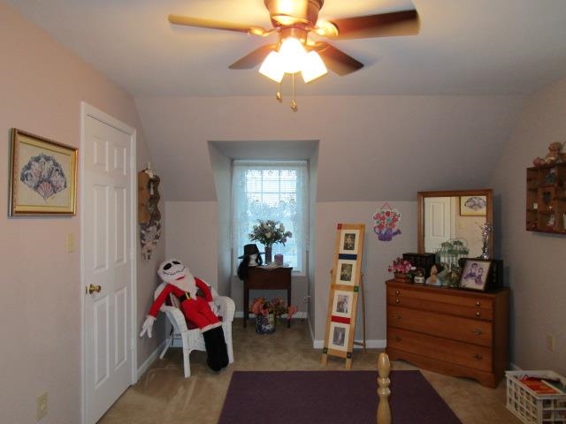 54 Spotswood Rd