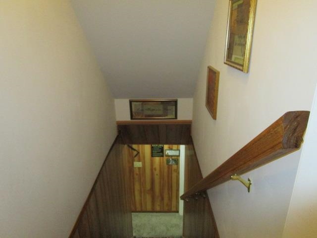 54 Spotswood Rd