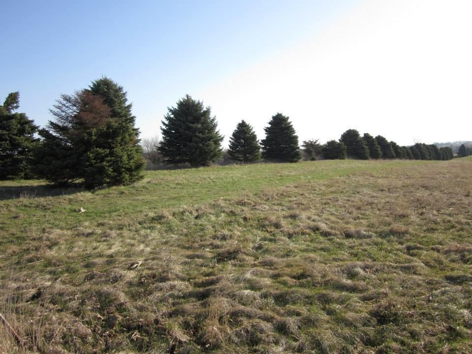LAND for Sale at Hill