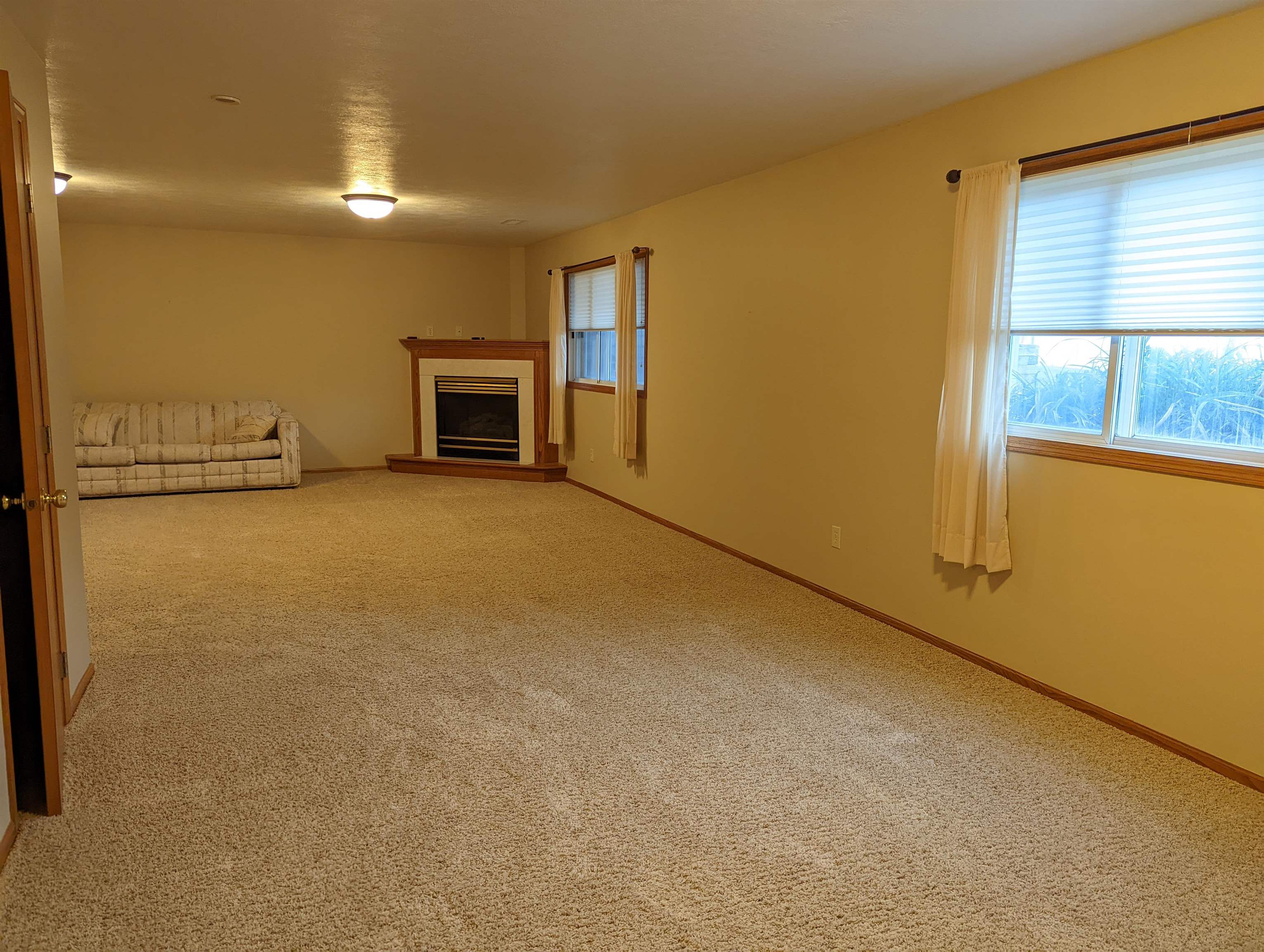 MLS #230825