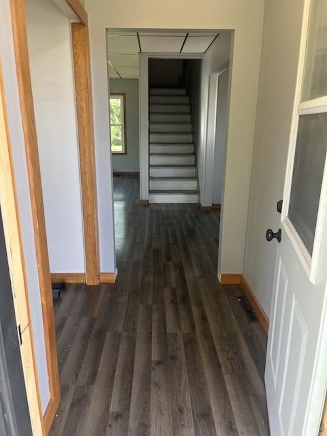 MLS #240625