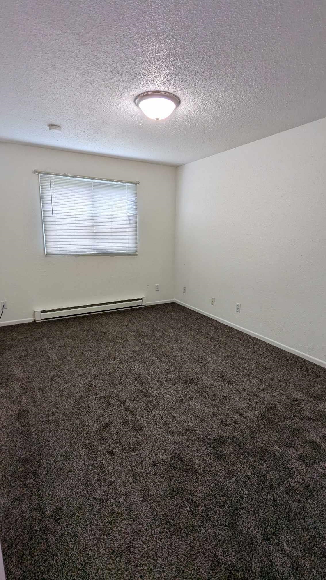 MLS #240944