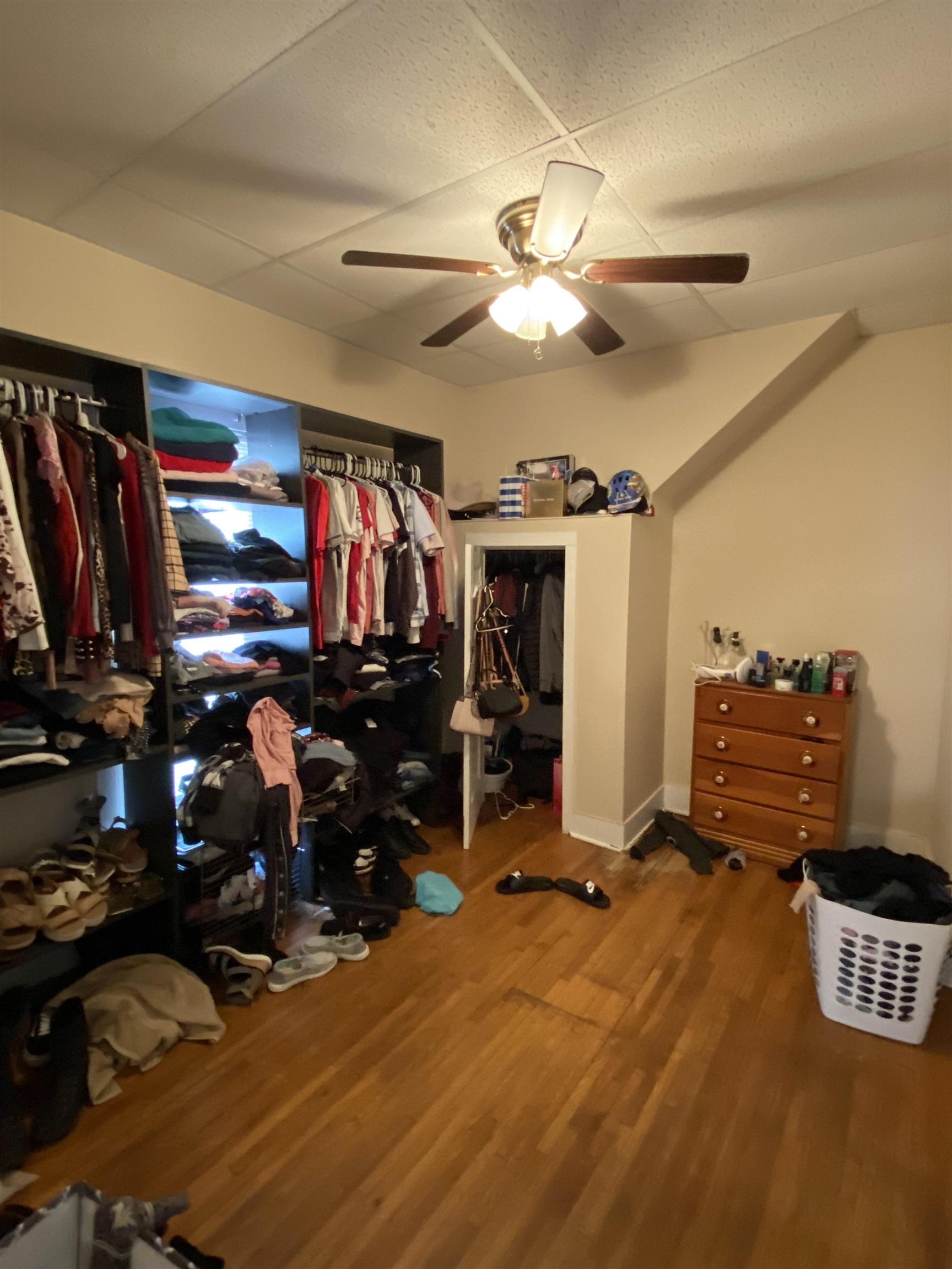 MLS #241033