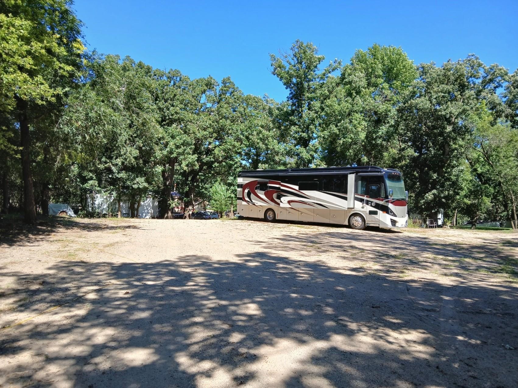 MLS #241119