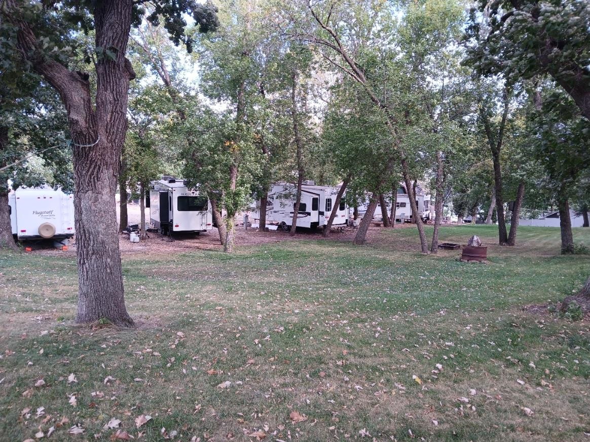 MLS #241119