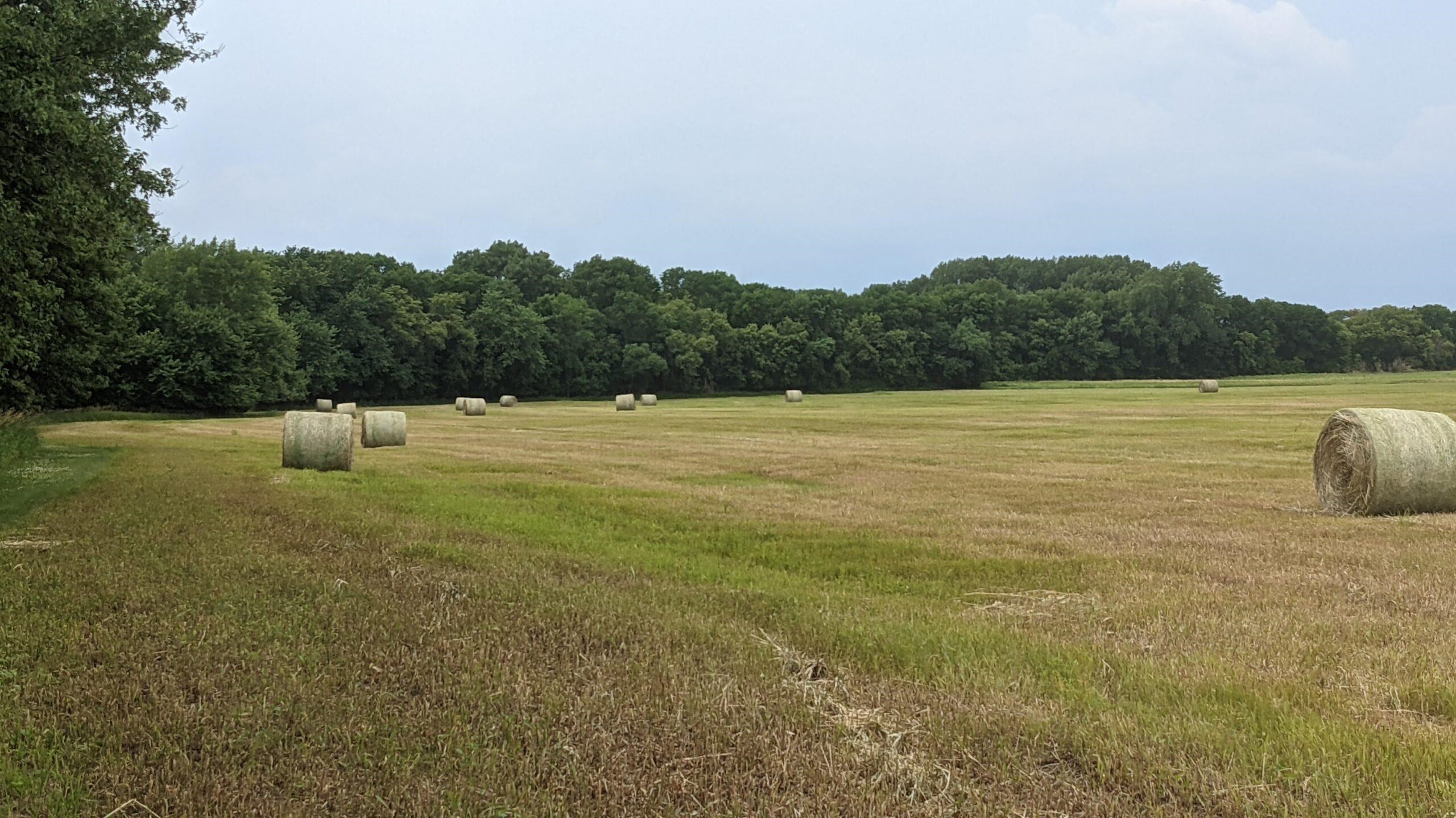 2610 West 13th, Spencer, IA 51301 