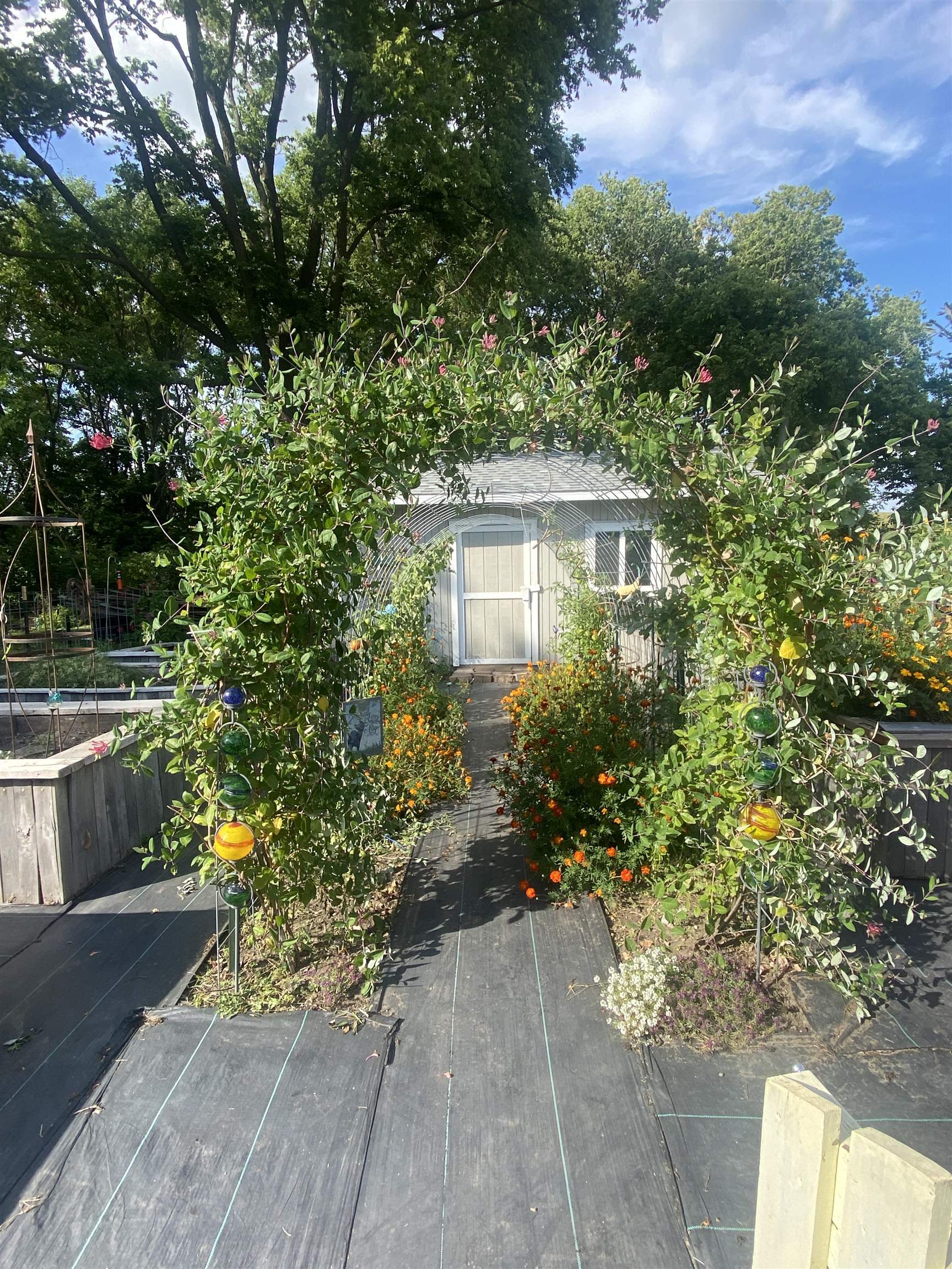 MLS #241147