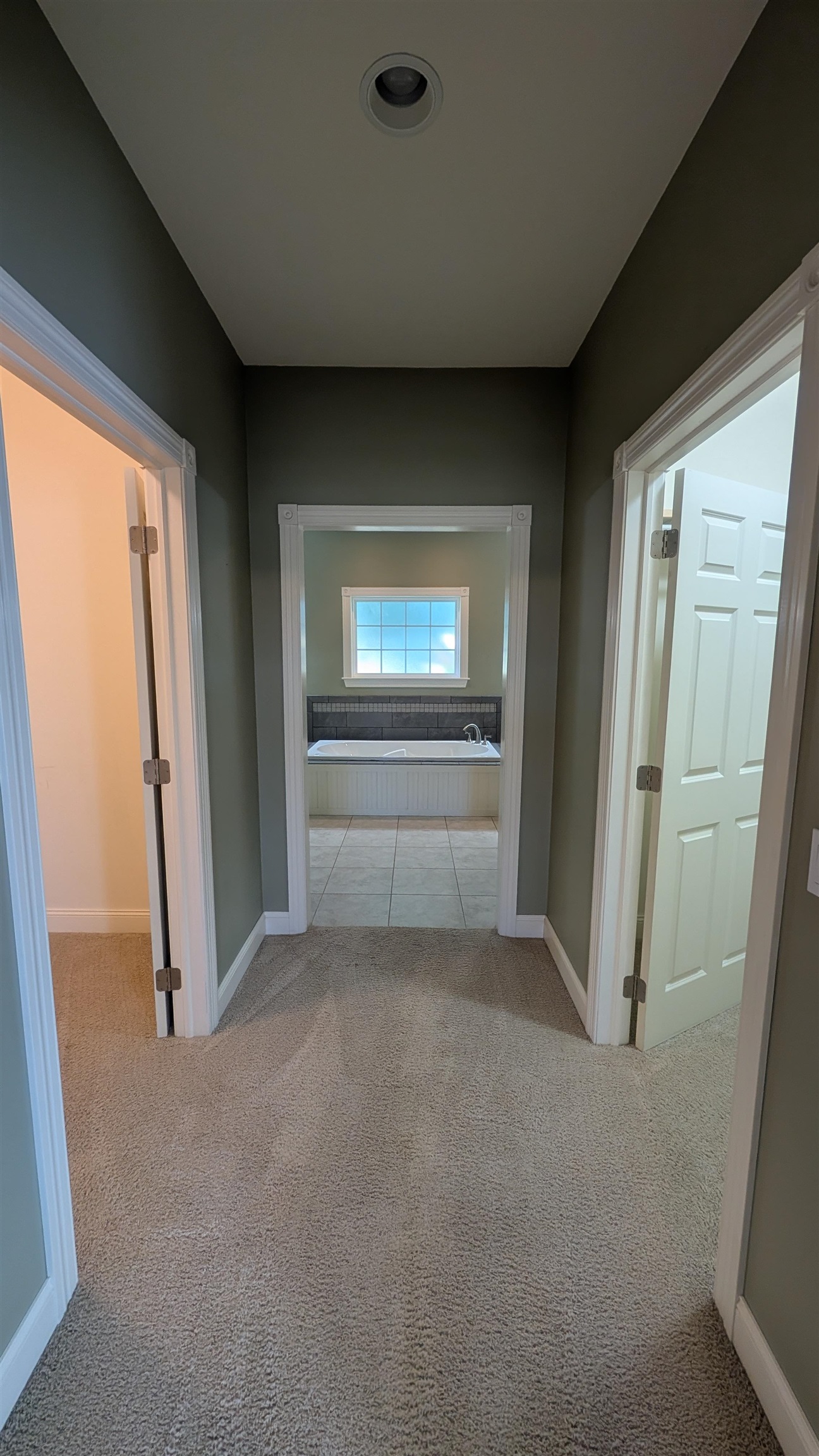MLS #241219