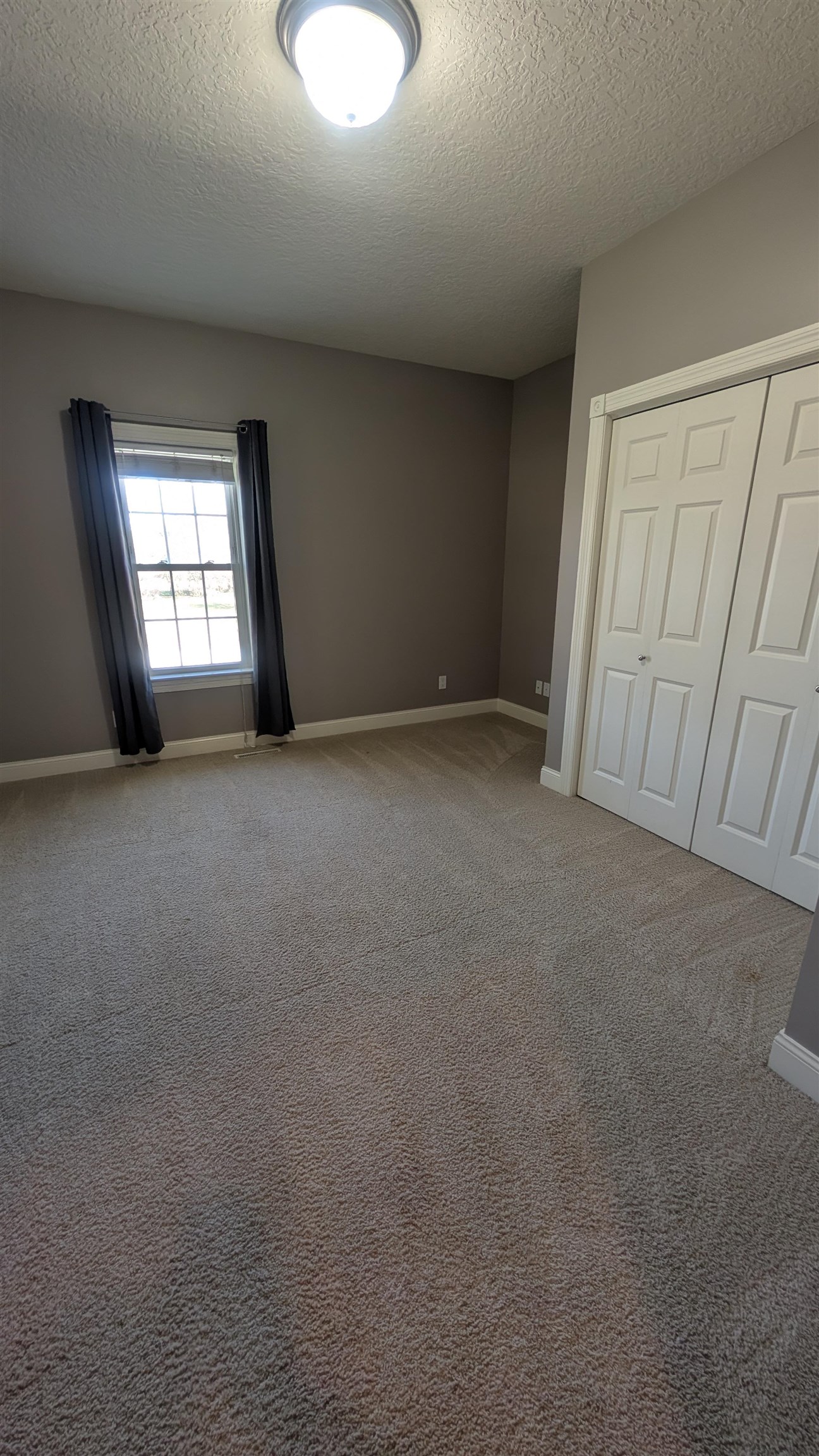 MLS #241219