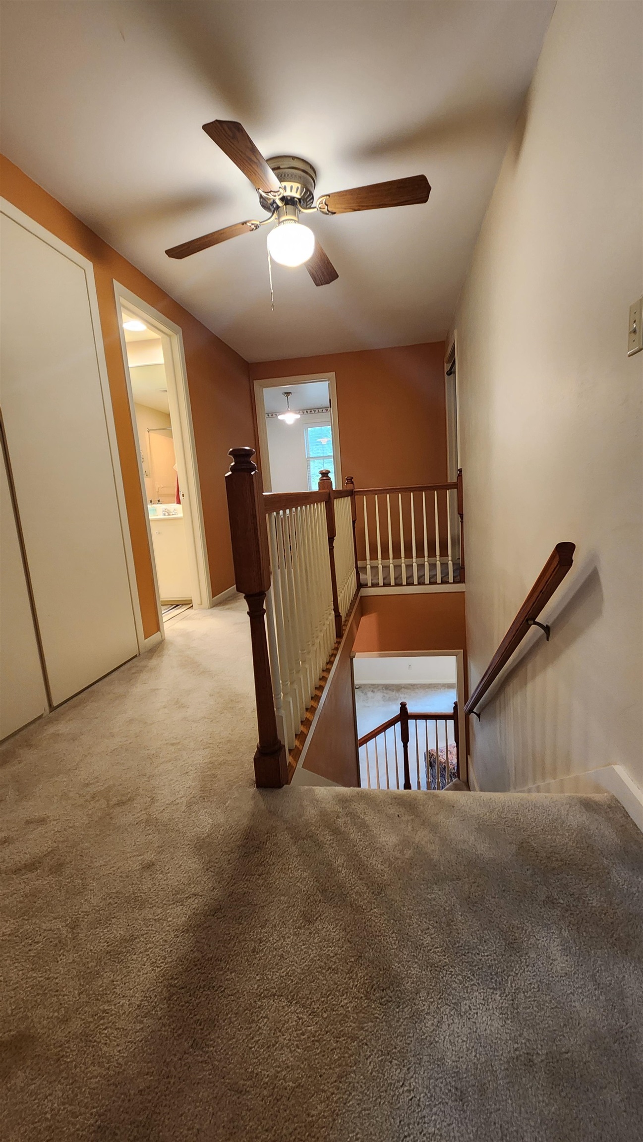 MLS #241222