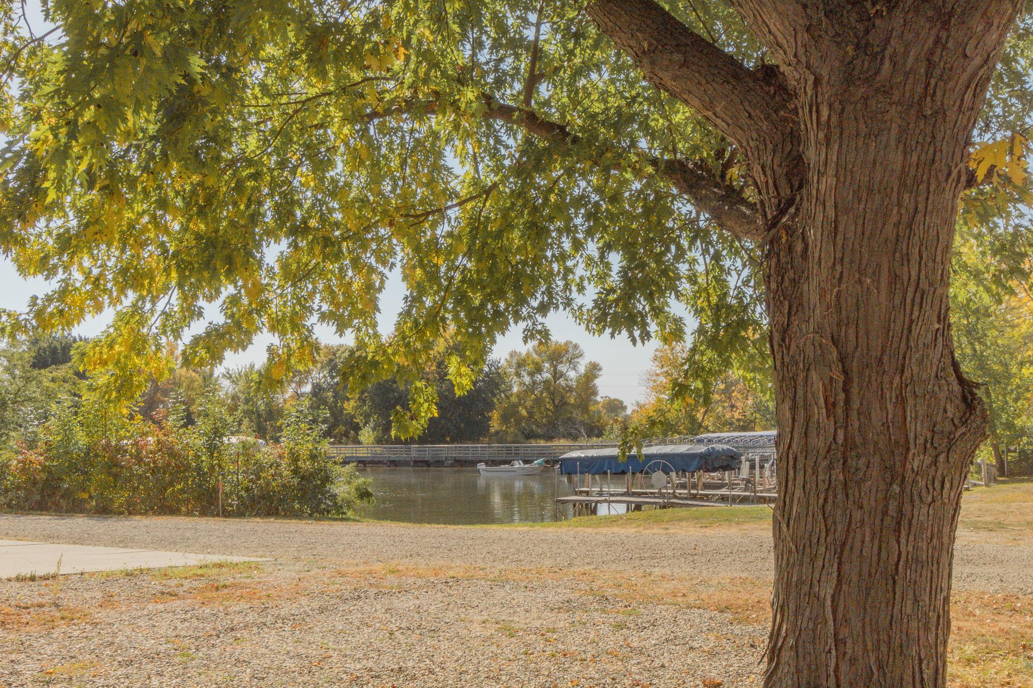 MLS #241230