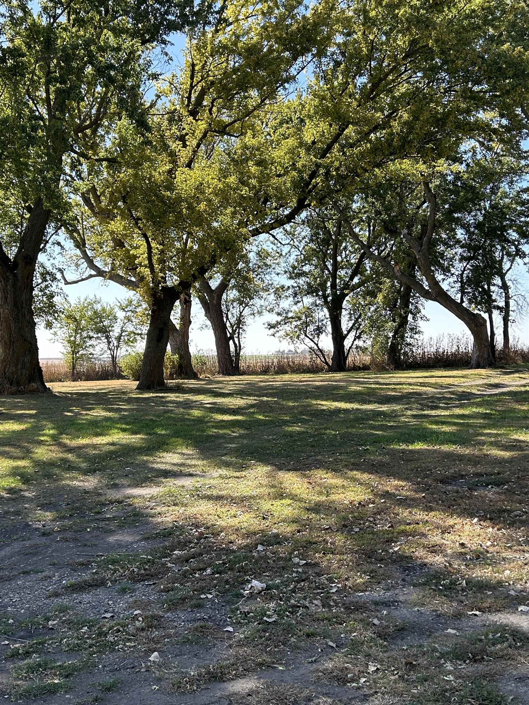 MLS #241235